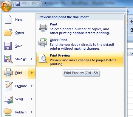 Cara Membuat Print Preview Ms Excel