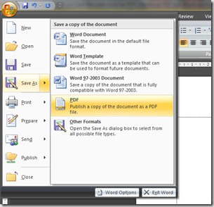 Mengenal PDF dan cara mengconvert file Word to PDF dengan 